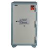 Két điện tử RKS250K1DT